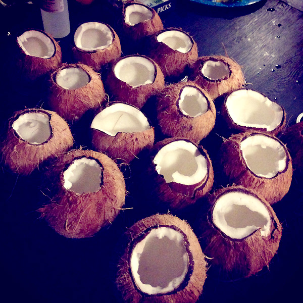 coconuts: booze news // stirandstrain.com