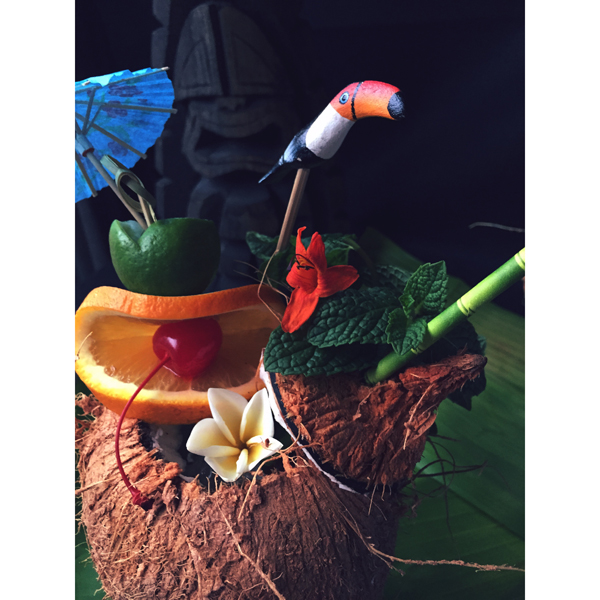 boozenews-toucan