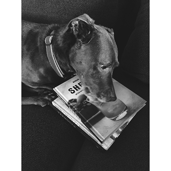 Monday Booze News: win books now // stirandstrain.com