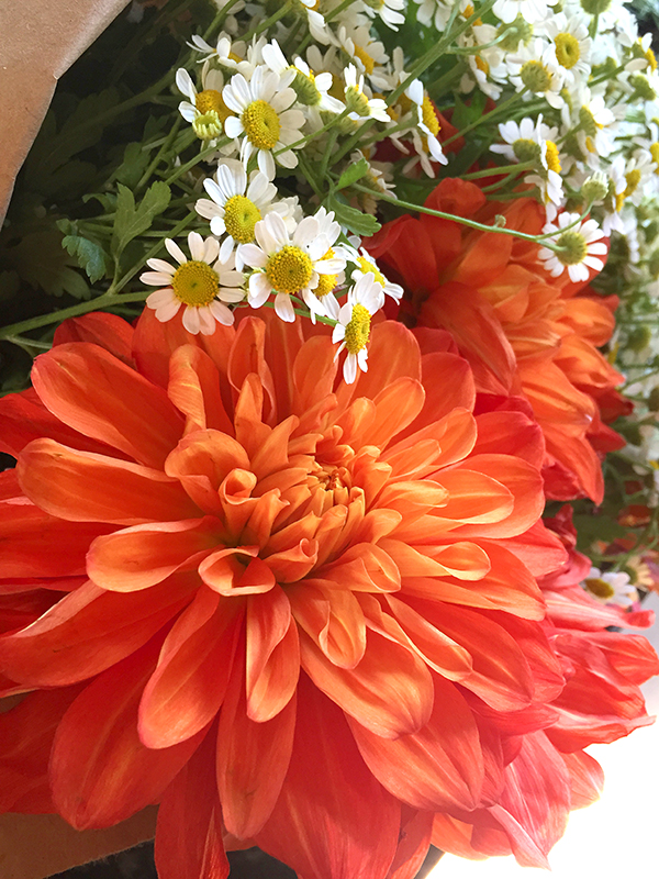 Monday Booze News: time for flowers // stirandstrain.com