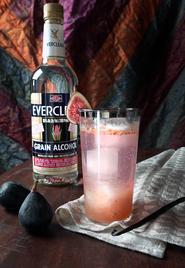 The Fig and Tonic Cocktail Stir and Strain