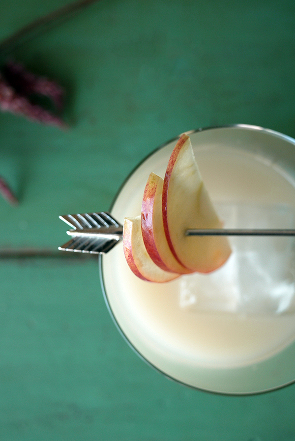 Indian Summer Apple Cider Switchel Cocktails // stirandstrain.com